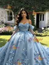Blue Tulle 3D Appliques Long Sleeve Quinceanera Dress