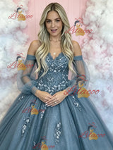 Blue Tulle Long Sleeve Appliques Prom Dress
