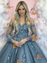 Blue Tulle Long Sleeve Appliques Prom Dress