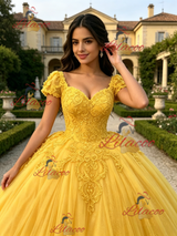 Yellow Tulle V-neck Cap Sleeve Appliques Quinceanera Dress