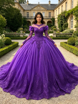 Purple Tulle Long Sleeve Appliques Quinceanera Dress