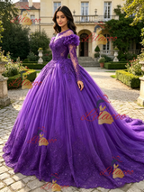 Purple Tulle Long Sleeve Appliques Quinceanera Dress
