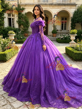 Purple Tulle Long Sleeve Appliques Quinceanera Dress