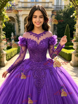 Purple Tulle Long Sleeve Appliques Quinceanera Dress