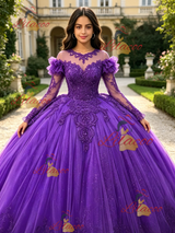 Purple Tulle Long Sleeve Appliques Quinceanera Dress