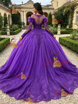 Purple Tulle Long Sleeve Appliques Quinceanera Dress