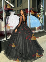 Black LOng Sleeve V-neck Appliques Quinceanera Dress