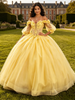Yellow Tulle Long Sleeve Flower Quinceanera Dress