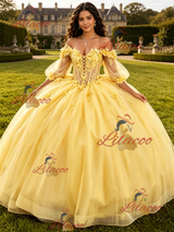 Yellow Tulle Long Sleeve Flower Quinceanera Dress