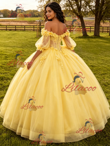 Yellow Tulle Long Sleeve Flower Quinceanera Dress