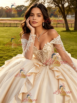 Champagne Satin Long Sleeve Appliques Quinceanera Dress
