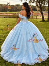 Blue Tulle Sequins Appliques Quinceanera Dress