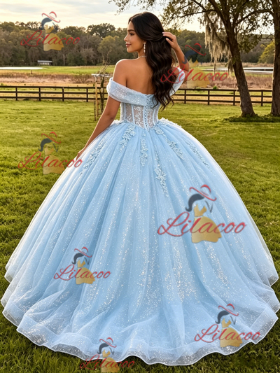Blue Tulle Sequins Appliques Quinceanera Dress