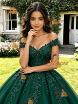 Green Tulle Off the Shoulder Appliques Quinceanera Dress