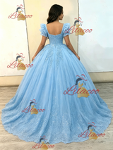 Blue Tulle Short Sleeve Appliques Quinceanera Dress
