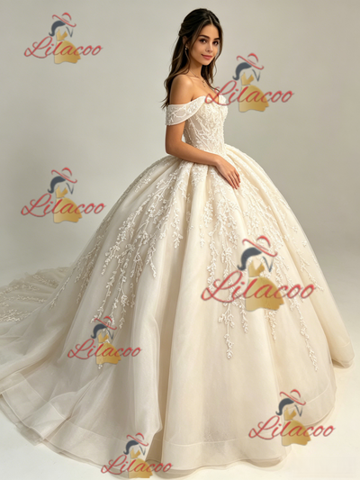Ball Gown Off the Shoulder Appliques Quinceanera Dress