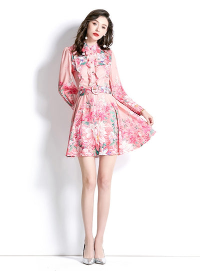 Pink Long Sleeve Printed Dress