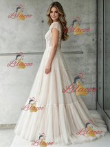 Ivory Tulle Lace V-neck Backless Wedding Dress