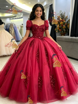 Tulle Puff Sleeve Sequins Appliques Quinceanera Dress