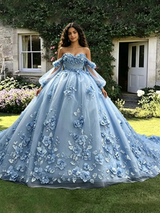 Blue Tulle 3D Appliques Quinceanera Dress