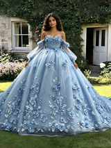 Blue Tulle 3D Appliques Quinceanera Dress
