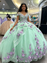 Green Tulle V-neck Appliques Quinceanera Dress