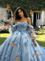 Blue Tulle 3D Appliques Quinceanera Dress