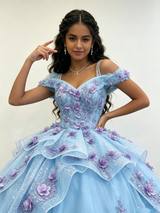 Sky Blue Tulle 3D Appliques Quinceanera Dress