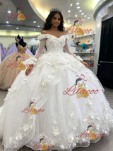 White Tulle Long Sleeve 3D Flower Quinceanera Dress