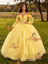 Yellow Tulle Appliques Long Sleeve Quinceanera Dress
