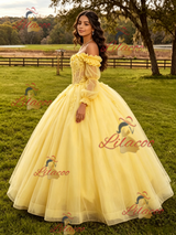 Yellow Tulle Appliques Long Sleeve Quinceanera Dress