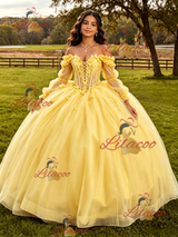 Yellow Tulle Appliques Long Sleeve Quinceanera Dress