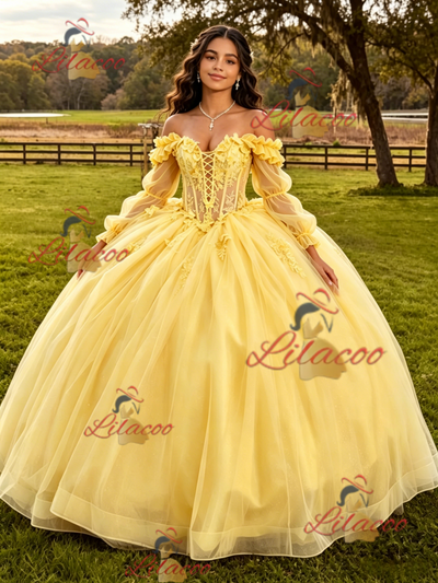 Yellow Tulle Appliques Long Sleeve Quinceanera Dress
