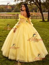 Yellow Tulle Appliques Long Sleeve Quinceanera Dress