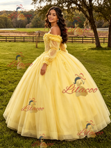 Yellow Tulle Appliques Long Sleeve Quinceanera Dress