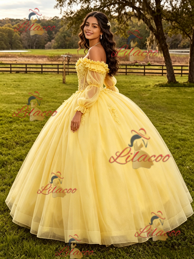 Yellow Tulle Appliques Long Sleeve Quinceanera Dress