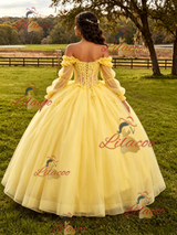 Yellow Tulle Appliques Long Sleeve Quinceanera Dress