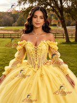Yellow Tulle Appliques Long Sleeve Quinceanera Dress