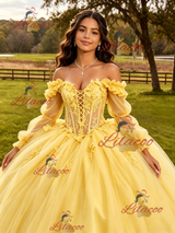 Yellow Tulle Appliques Long Sleeve Quinceanera Dress