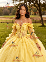 Yellow Tulle Appliques Long Sleeve Quinceanera Dress