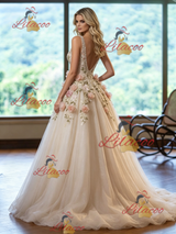 Ivory Tulle V-neck Appliques Wedding Dress
