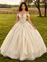 Cahmpagne Tulle Appliques Off the Shoulder Quinceanera Dress