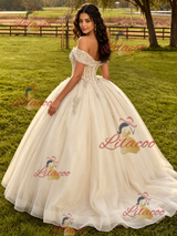 Cahmpagne Tulle Appliques Off the Shoulder Quinceanera Dress