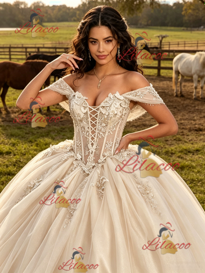 Champagne Tulle Appliques Off the Shoulder Quinceanera Dress