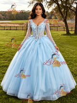 Light Blue Tulle Long Sleeve Appliques Quinceanera Dress