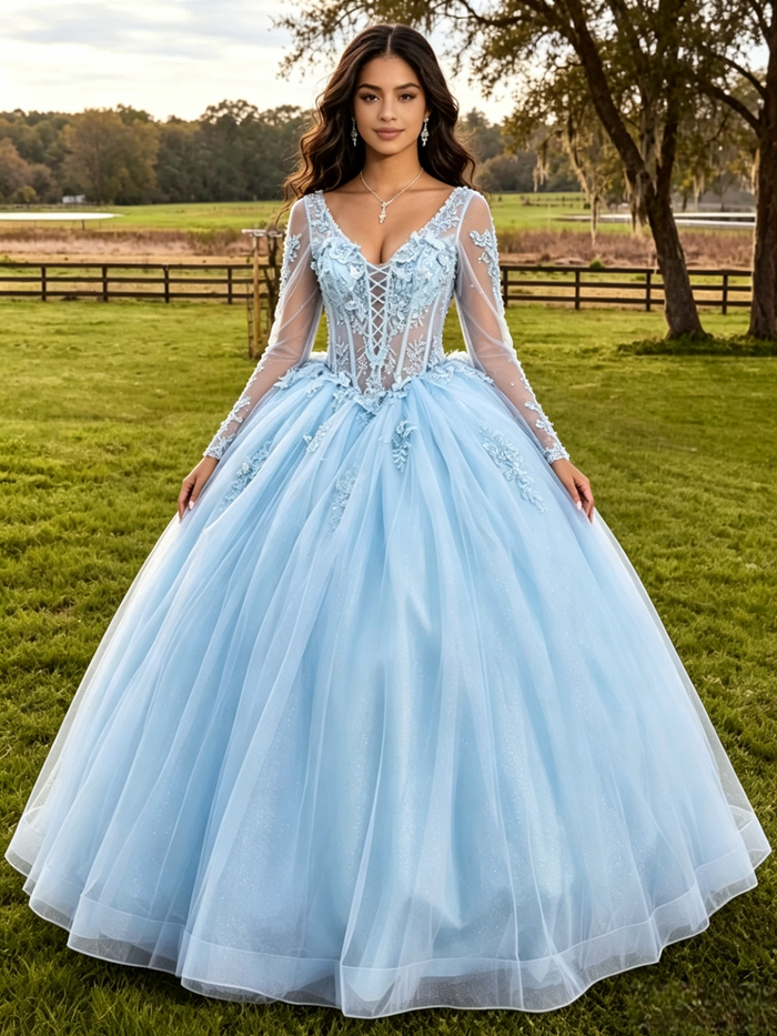 Light Blue Tulle Long Sleeve Appliques Quinceanera Dress