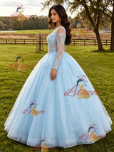 Light Blue Tulle Long Sleeve Appliques Quinceanera Dress
