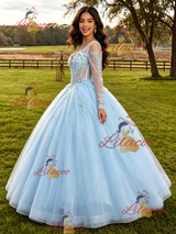 Light Blue Tulle Long Sleeve Appliques Quinceanera Dress