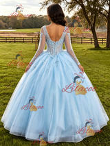 Light Blue Tulle Long Sleeve Appliques Quinceanera Dress