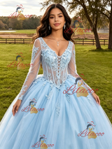 Light Blue Tulle Long Sleeve Appliques Quinceanera Dress